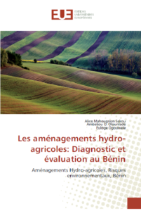 Aménagements hydro-agricole : Diagnostic et évaluation des risques environnementaux au Bénin